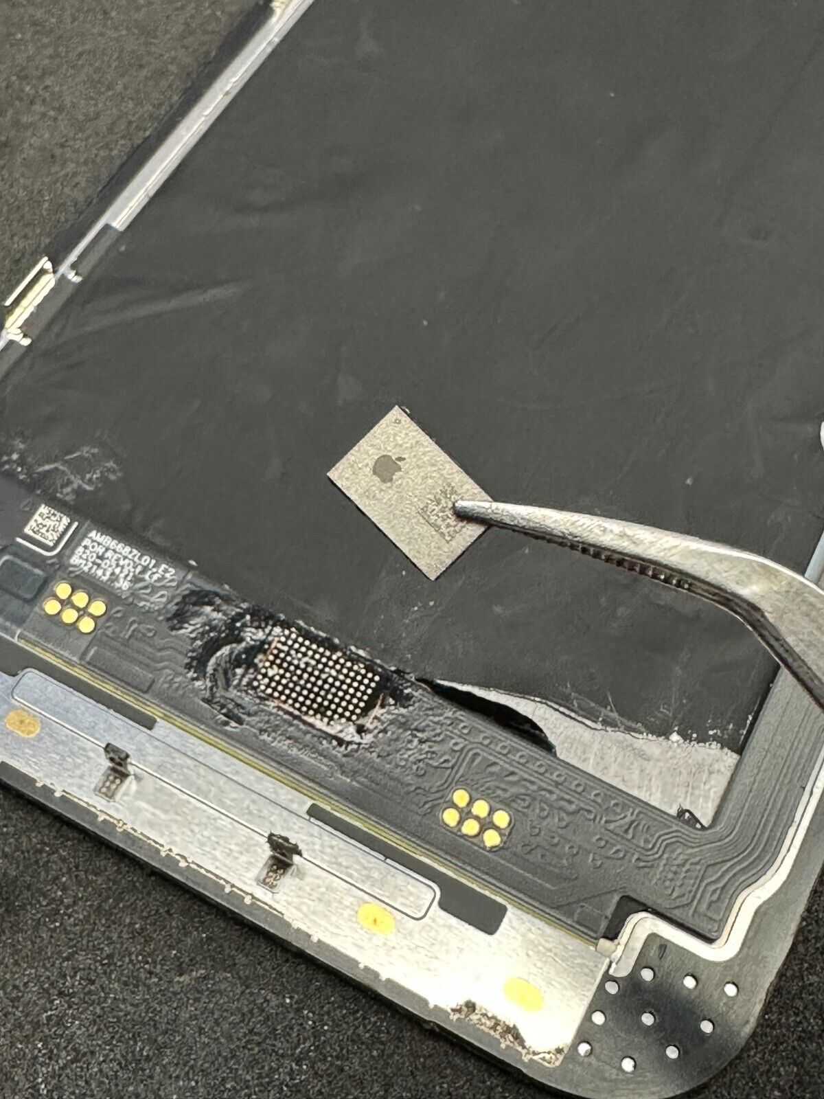 Modulo Face ID durante rigenerazione